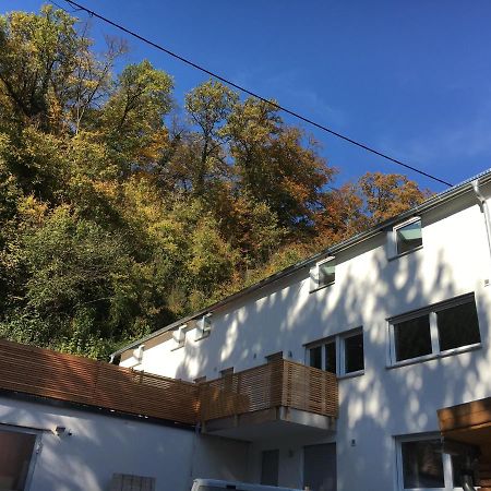 Ferienwohnungen Lamisto Am Waldesrand Neckartenzlingen Ngoại thất bức ảnh