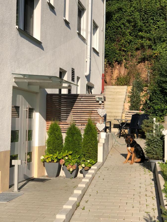 Ferienwohnungen Lamisto Am Waldesrand Neckartenzlingen Ngoại thất bức ảnh